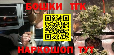 эйфоретик Гусь-Хрустальный