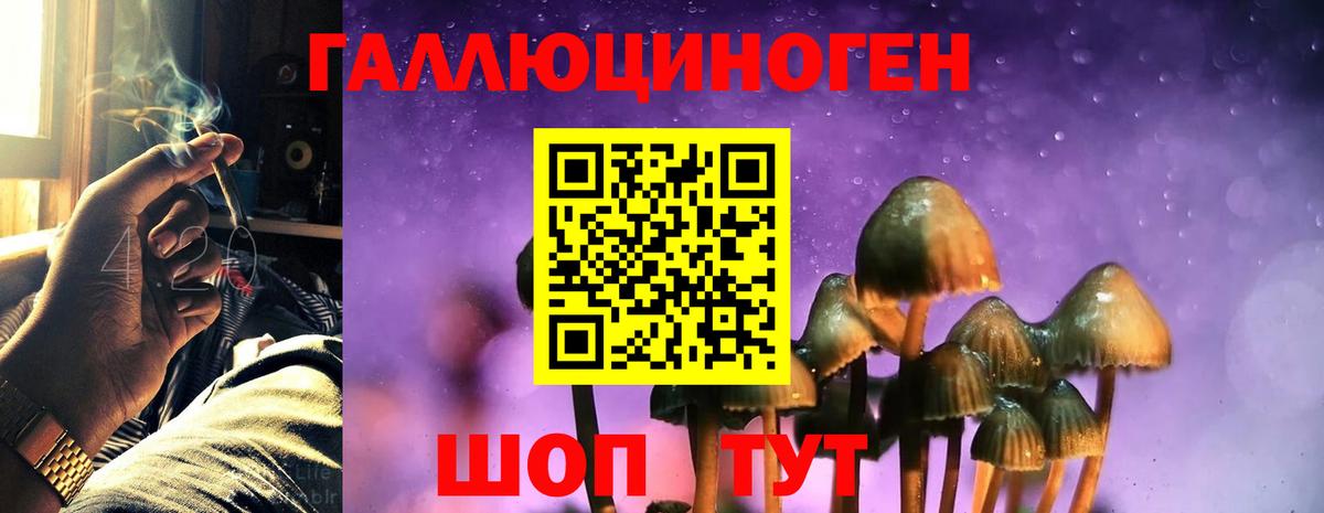 Псилоцибиновые грибы прущие грибы Новокуйбышевск